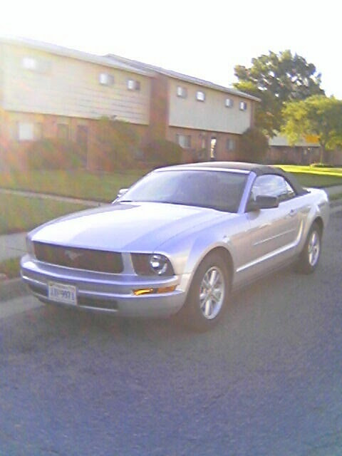 IT'S MY BIRTHDAY ... CAN YOU COUNT THE HORSES??? unnamed-image-1-724645