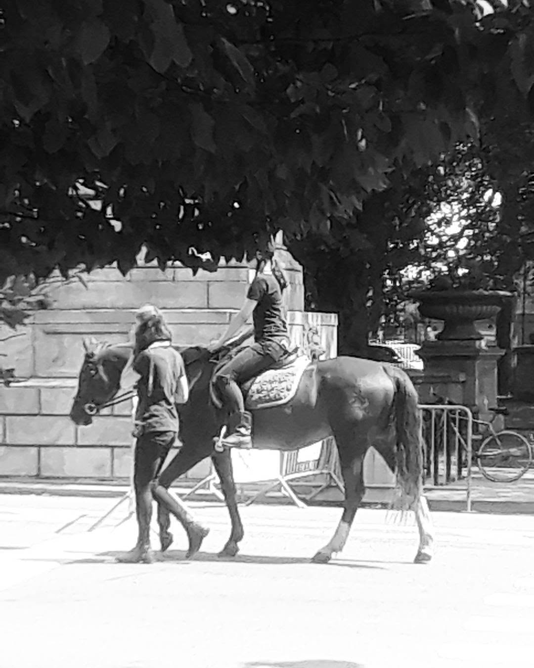 “Horseback Riding” at Just cuz it’s a