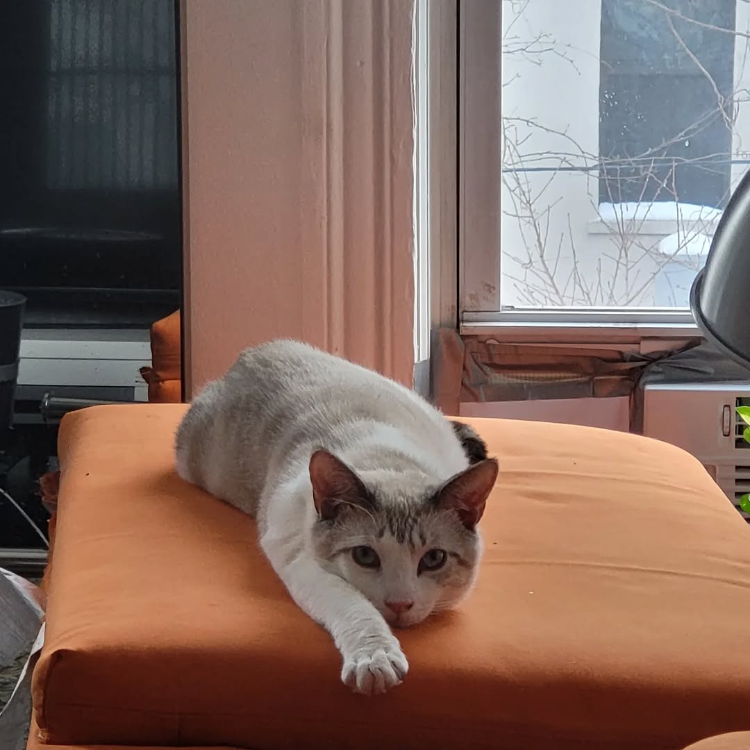 Good morning from Emet