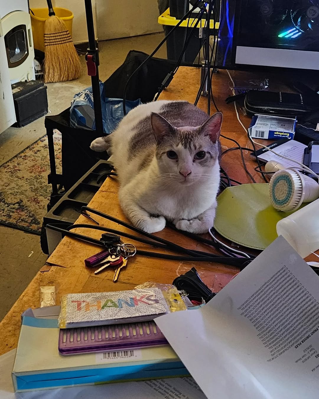 Oh man, almost missed Here’s a pic